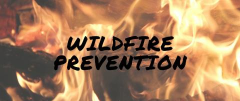 Wildfire Prevention